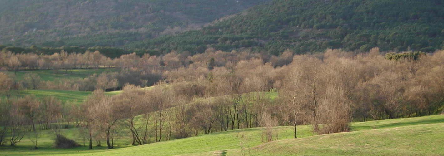 Golf Los Vallejos — imagen 2