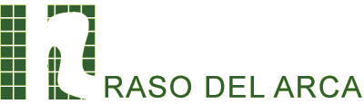 Raso del Arca